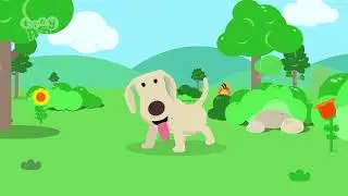 Tiny Pop's BIG Questions 🐕Why do Dogs have Tails?