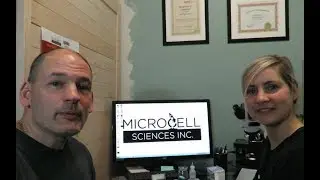 Live Blood Cell Analysis
