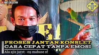 PROSES KONSLET JANTAN || SETING CEPAT TANPA EMOSI