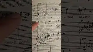 VERDI: FALSTAFF: An&aacute;lisis musical del comienzo de la &oacute;pera