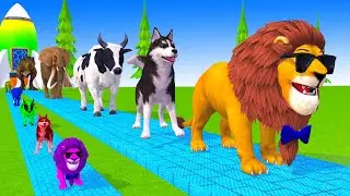 Long Slide Game With Cow Elephant Gorilla Hippopotamus Tiger 3d Animal Game Funny 3d Animals