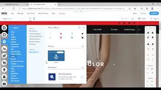 how to add website search option in wix website store dropshipping store