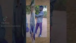 maguta tv