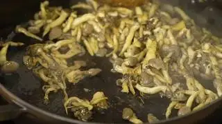 Barilla | Casarecce ao Molho de Cogumelos e Peru