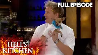 Real Housewives of Hell's Kitchen 💅 | Hell's Kitchen US | Full Episode
