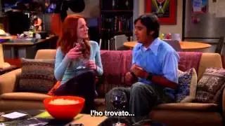 Raj Koothrappali e 