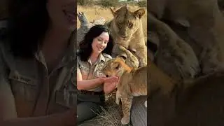 Wilderness Warden Part 3 tiktok | tiktok video | tiktok version | tiktok version songs | viral