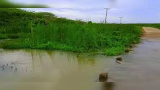 Bundala  National Park safari (බූන්දල අභය භූමිය)