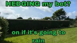 HEDGING my bet? On if it's going to rain