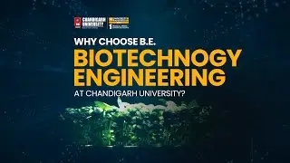 Bachelor of Biotechnology Engineering at Chandigarh University