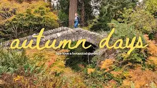 An autumnal weekend (featuring our cats & chickens!)