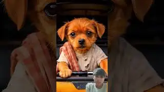 dog 🐕  and man ai cartoon video 🤵&zwj;♂