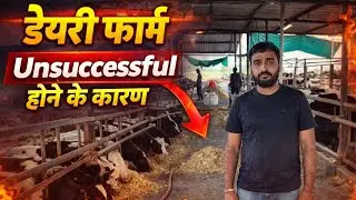 डेयरी फ़ार्म Unsuccessful होने के कारण | The Indian Dairy 