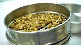 Food security and seeds: Inviting wild relatives to the table
