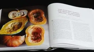 Vegetable Literacy: Deborah Madison's Exploration of Plant Families