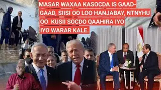HABEEN: HAYEEY MASAR!! IS GAAD-GAAD, SIISI OO LOO HANJABAY, NTNYHU OO  KUSII SOCDO QAAHIRA IYO WARAR