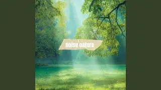 Nice Wind