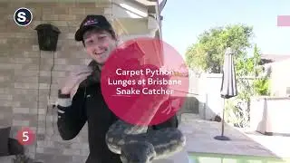 Top 10 Too Close for Comfort Animal Encounters