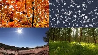 The 4 Seasons in Chinese | Learn Chinese Now