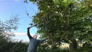 Grumpy Gardener Extendable Ratchet Loppers