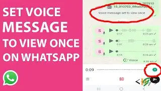 Как отправлять исчезающие аудиосообщения в WhatsApp | Просмотр голосового сообщения