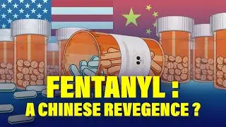 Fentanyl Crisis: A Chinese Revenge? | China vs USA | Opium Wars