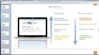 Servidores de Aplicaciones JAVA Payara