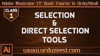 Adobe Illustrator CC Basic Course Class 1 - Selection & Direct Selection Tools Urdu/Hindi