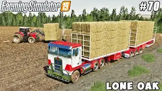 Making & transporting straw bales, animal care | Lone Oak | Farming simulator 19 | Timelapse #70