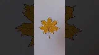 #shorts Yellow Autumn Leaf Drawing | Calm Marker ASMR 🍁