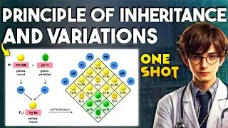 Complete PRINCIPLES OF INHERITANCE AND VARIATIONS One Shot | Genetics One shot NEET 2025
