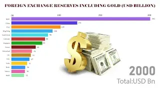 FOREIGN EXCHANGE DATA |  BY SNS INSIDER