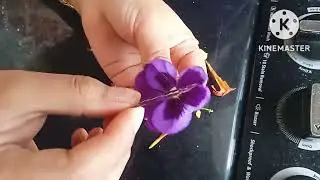 Biology symmetry in flowers