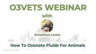 How to use ozonated fluids for animals