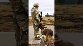 German Shepherd: The Ultimate Guard Dog #GermanShepherd #GuardDog #DogLovers