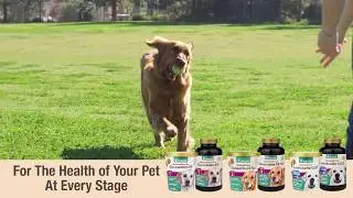 Hip & Joint Support Supplements For Dogs and Cats from NaturVet
