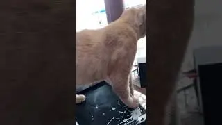 byo mau naik ya...