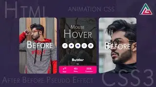 Card  box css effects html, css3 I Image hover effects html css