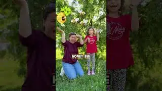 Amazing Animals That Start with H! 🐴🐝