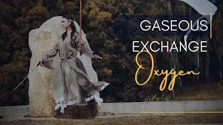 GASEOUS EXCHANGE O2