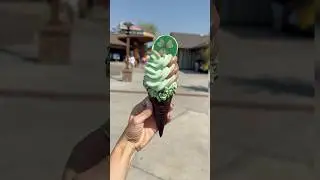 Green Mint & Chocolate Soft-Serve Swirl Cone🍀 Would you try it? #disneyworld #disneysprings