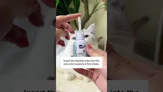 Как почистить уши кошке с помощью этого трюка!
