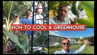 How We Keep Our Greenhouse Cool-Off Grid!