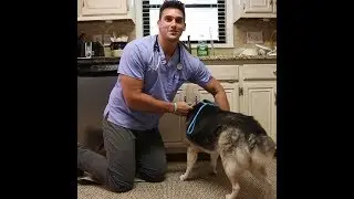 Veterinarian makes house calls for ailing pets and owners