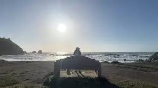 I Quit My Tech Job to Travel with My Senior Dog 🐾 (Van Life California)