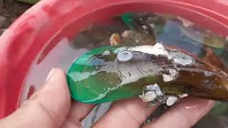 Buổi sáng chủ nhật bán nhiều loại hải sản tươi sống  