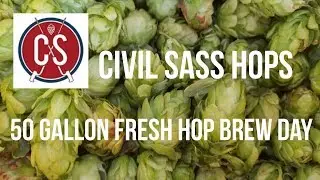 Fresh Hop Brew Day at Civil Sass Hops With R.A.Z.E. Homebrew Club