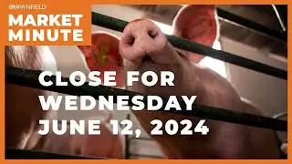 Hogs closed higher | Closing Market Minute