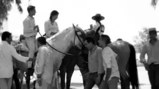 Santaella - Jornadas ecuestres- Amigos del caballo