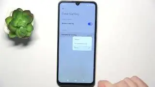 Redmi A3 Pro: Enable Data Roaming for Global Connectivity!